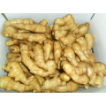 1kg Box China Fresh Ginger Root Price